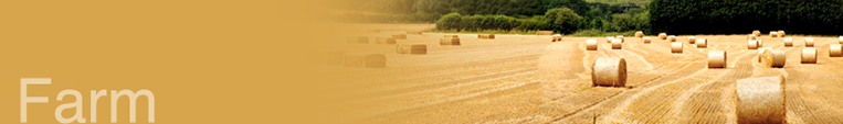Farm insurance Cork